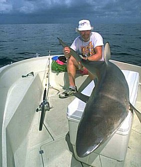 Galveston Shark Fishing.....FANTASTIC!