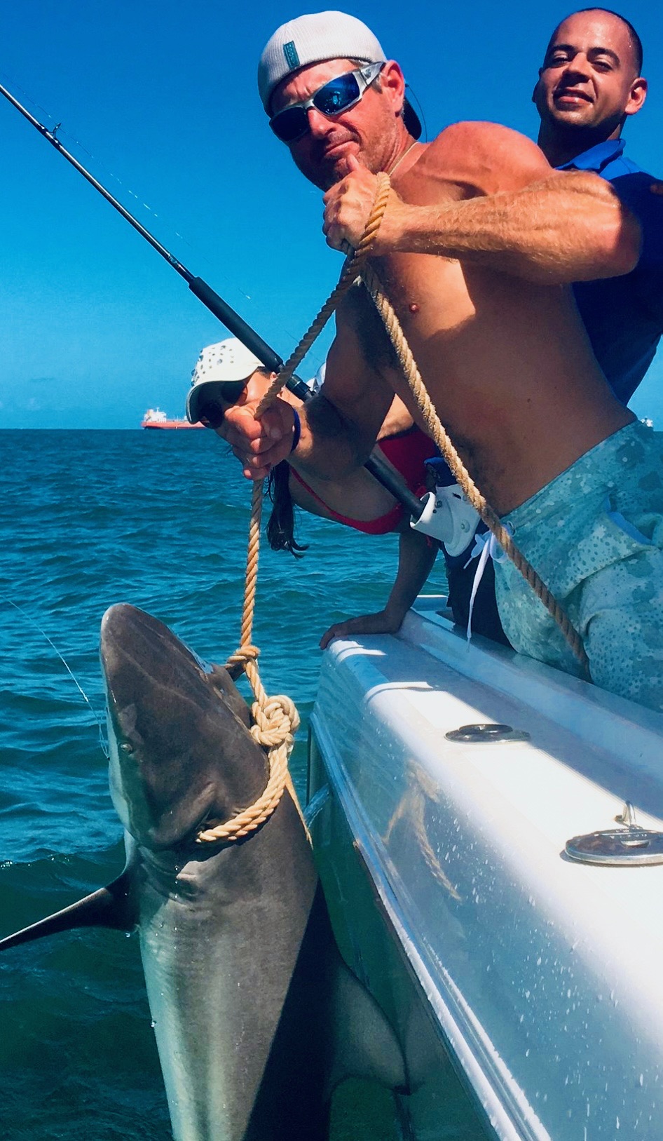 Angler with bull shark boat-side on Galveston offshore fishing trip